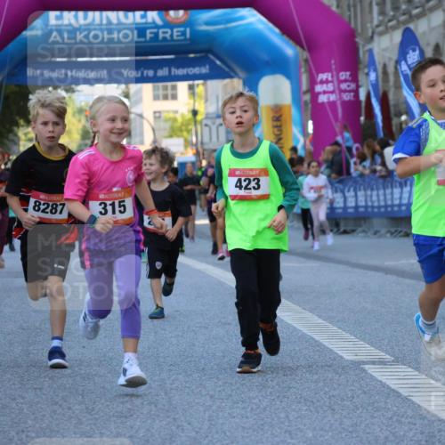 06.09.2026 - CURREX Alsterlauf Strokosch-Dieckow http://msf.ph/oto/10141978 06.09.2026 10:54:49 Ziel 229, 234, 315, 322, 328, 340, 345, 359, 382, 398, 423, 8287 meine-sportfotos.de