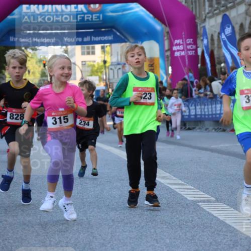06.09.2026 - CURREX Alsterlauf Strokosch-Dieckow http://msf.ph/oto/10141993 06.09.2026 10:54:49 Ziel 229, 234, 315, 322, 328, 340, 345, 359, 382, 398, 423, 8287 meine-sportfotos.de