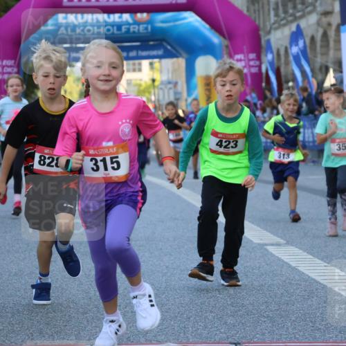 06.09.2026 - CURREX Alsterlauf Strokosch-Dieckow http://msf.ph/oto/10142000 06.09.2026 10:54:51 Ziel 229, 234, 313, 315, 322, 345, 348, 350, 382, 398, 423, 8287 meine-sportfotos.de