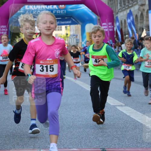 06.09.2026 - CURREX Alsterlauf Strokosch-Dieckow http://msf.ph/oto/10142009 06.09.2026 10:54:51 Ziel 229, 234, 313, 315, 322, 345, 348, 350, 382, 398, 423, 8287 meine-sportfotos.de