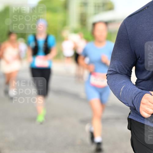 06.09.2026 - CURREX Alsterlauf Dr. Thomas Lammeyer http://msf.ph/oto/10142017 06.09.2026 10:11:19 Laufen 318 meine-sportfotos.de