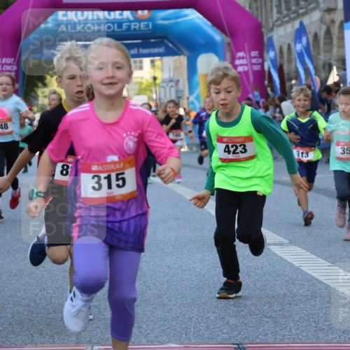 06.09.2026 - CURREX Alsterlauf Strokosch-Dieckow http://msf.ph/oto/10142019 06.09.2026 10:54:51 Ziel 229, 234, 313, 315, 322, 345, 348, 350, 382, 398, 423, 8287 meine-sportfotos.de