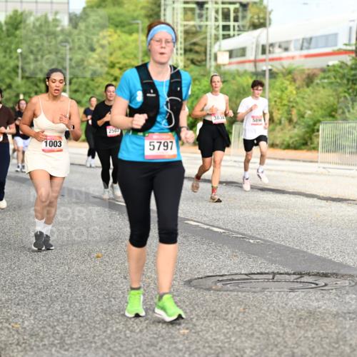 06.09.2026 - CURREX Alsterlauf Dr. Thomas Lammeyer http://msf.ph/oto/10142023 06.09.2026 10:11:20 Laufen 0, 3456, 1003, 2503, 3834, 5797, 5896, 514 meine-sportfotos.de