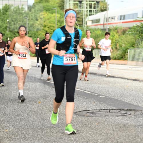 06.09.2026 - CURREX Alsterlauf Dr. Thomas Lammeyer http://msf.ph/oto/10142026 06.09.2026 10:11:20 Laufen 76, 3456, 1003, 5797, 3834, 5896 meine-sportfotos.de