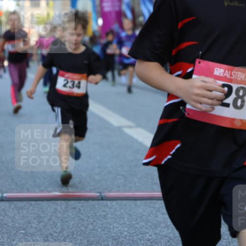 06.09.2026 - CURREX Alsterlauf Strokosch-Dieckow http://msf.ph/oto/10142028 06.09.2026 10:54:54 Ziel 160, 196, 234, 290, 313, 315, 322, 345, 348, 350, 398, 423, 8287 meine-sportfotos.de