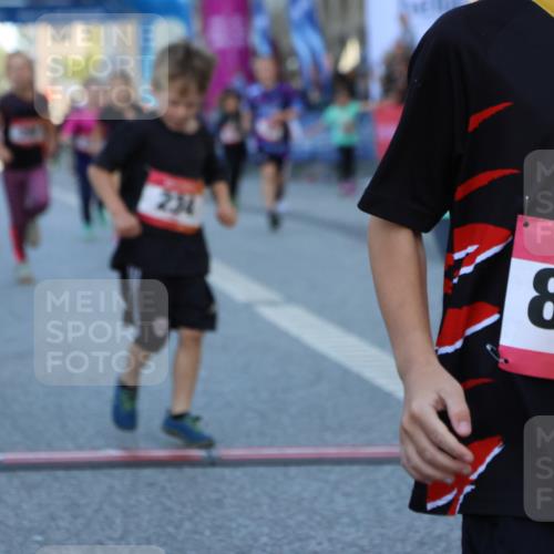 06.09.2026 - CURREX Alsterlauf Strokosch-Dieckow http://msf.ph/oto/10142039 06.09.2026 10:54:54 Ziel 160, 196, 234, 290, 313, 315, 322, 345, 348, 350, 398, 423, 8287 meine-sportfotos.de