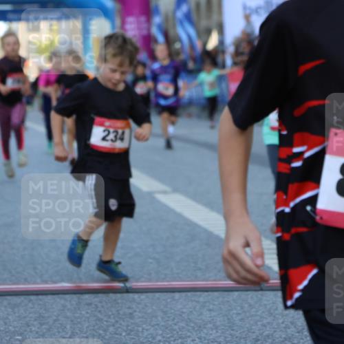 06.09.2026 - CURREX Alsterlauf Strokosch-Dieckow http://msf.ph/oto/10142042 06.09.2026 10:54:54 Ziel 160, 196, 234, 290, 313, 315, 322, 345, 348, 350, 398, 423, 8287 meine-sportfotos.de