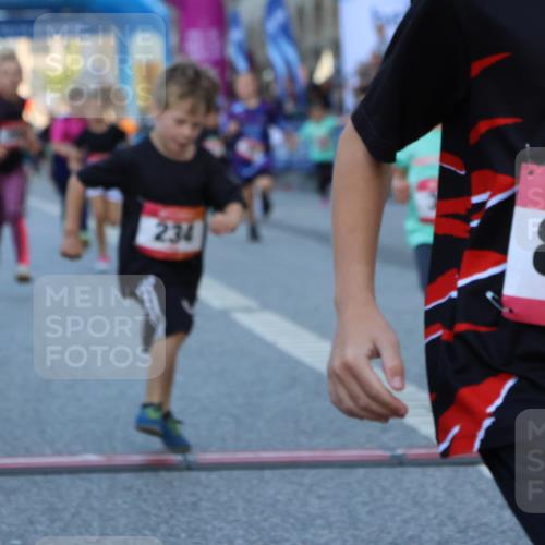 06.09.2026 - CURREX Alsterlauf Strokosch-Dieckow http://msf.ph/oto/10142046 06.09.2026 10:54:54 Ziel 160, 196, 234, 290, 313, 315, 322, 345, 348, 350, 398, 423, 8287 meine-sportfotos.de