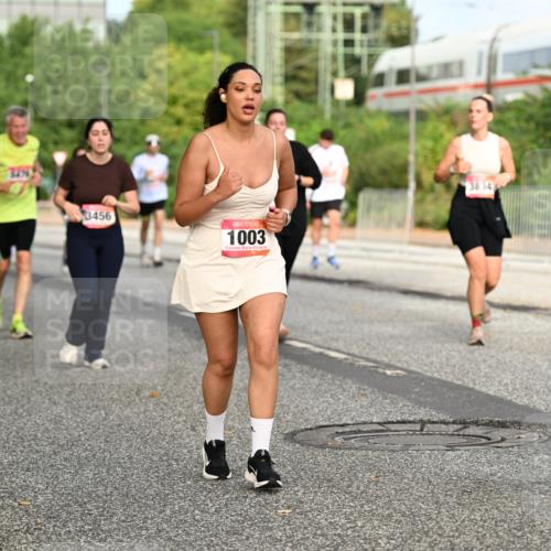 06.09.2026 - CURREX Alsterlauf Dr. Thomas Lammeyer http://msf.ph/oto/10142047 06.09.2026 10:11:22 Laufen 3456, 1003, 3834, 5 meine-sportfotos.de
