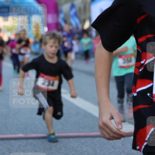 06.09.2026 - CURREX Alsterlauf Strokosch-Dieckow http://msf.ph/oto/10142053 06.09.2026 10:54:54 Ziel 160, 196, 234, 290, 313, 315, 322, 345, 348, 350, 398, 423, 8287 meine-sportfotos.de