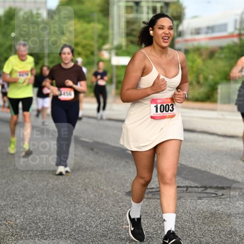 06.09.2026 - CURREX Alsterlauf Dr. Thomas Lammeyer http://msf.ph/oto/10142055 06.09.2026 10:11:23 Laufen 3456, 1003, 30, 34 meine-sportfotos.de