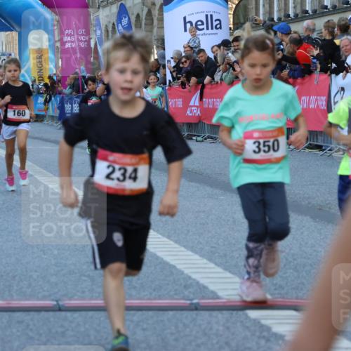 06.09.2026 - CURREX Alsterlauf Strokosch-Dieckow http://msf.ph/oto/10142062 06.09.2026 10:54:55 Ziel 160, 196, 234, 244, 287, 290, 313, 315, 322, 348, 350, 398, 423, 8287 meine-sportfotos.de