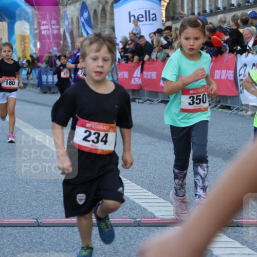 06.09.2026 - CURREX Alsterlauf Strokosch-Dieckow http://msf.ph/oto/10142071 06.09.2026 10:54:55 Ziel 160, 196, 234, 244, 287, 290, 313, 315, 322, 348, 350, 398, 423, 8287 meine-sportfotos.de
