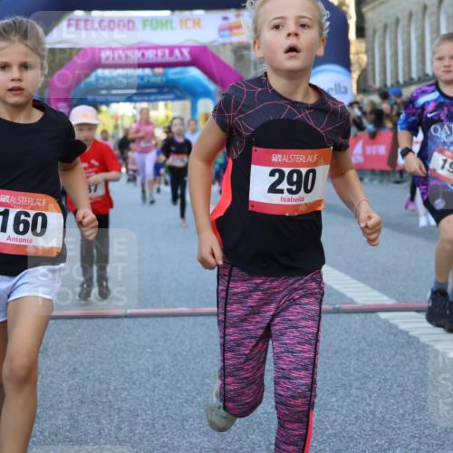 06.09.2026 - CURREX Alsterlauf Strokosch-Dieckow http://msf.ph/oto/10142102 06.09.2026 10:54:59 Ziel 160, 196, 234, 244, 287, 290, 313, 348, 350, 419, 423, 427, 453, 8287 meine-sportfotos.de