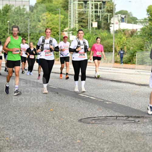 06.09.2026 - CURREX Alsterlauf Dr. Thomas Lammeyer http://msf.ph/oto/10142122 06.09.2026 10:11:30 Laufen 5459, 3508, 240, 09, 4028, 2571, 2559, 2570, 6288, 439 meine-sportfotos.de