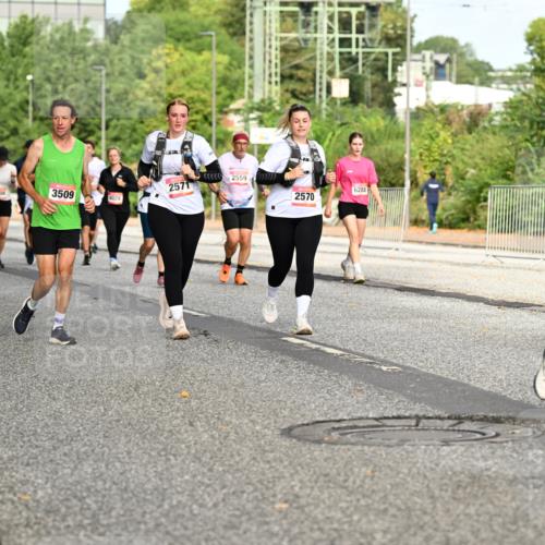 06.09.2026 - CURREX Alsterlauf Dr. Thomas Lammeyer http://msf.ph/oto/10142123 06.09.2026 10:11:30 Laufen 5859, 3508, 2571, 2408, 3509, 4028, 2559, 6288, 2570, 439 meine-sportfotos.de