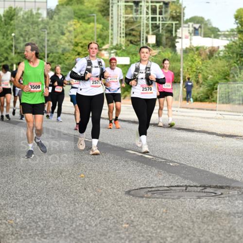 06.09.2026 - CURREX Alsterlauf Dr. Thomas Lammeyer http://msf.ph/oto/10142127 06.09.2026 10:11:30 Laufen 3508, 2571, 2400, 3509, 4028, 2559, 2570, 6288 meine-sportfotos.de