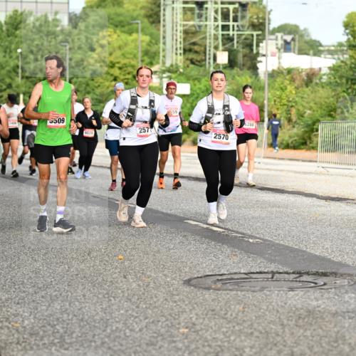 06.09.2026 - CURREX Alsterlauf Dr. Thomas Lammeyer http://msf.ph/oto/10142129 06.09.2026 10:11:30 Laufen 3508, 509, 4028, 257, 559, 2570, 6288 meine-sportfotos.de