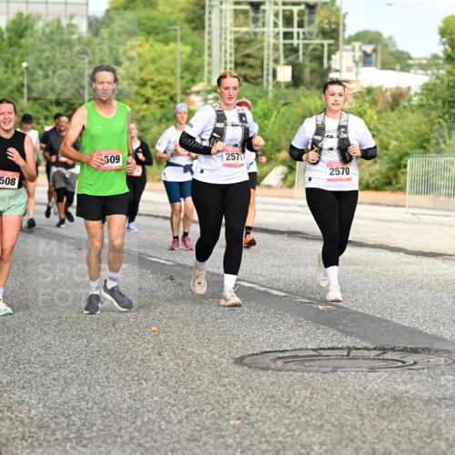 06.09.2026 - CURREX Alsterlauf Dr. Thomas Lammeyer http://msf.ph/oto/10142133 06.09.2026 10:11:31 Laufen 3508, 509, 2571, 2570 meine-sportfotos.de