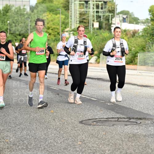 06.09.2026 - CURREX Alsterlauf Dr. Thomas Lammeyer http://msf.ph/oto/10142134 06.09.2026 10:11:31 Laufen 4450, 3508, 3454, 509, 257, 2570 meine-sportfotos.de