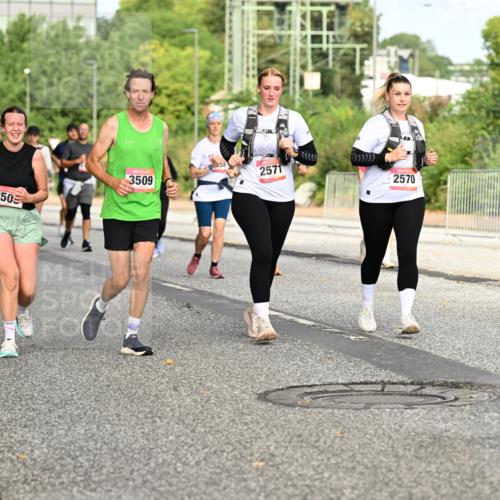 06.09.2026 - CURREX Alsterlauf Dr. Thomas Lammeyer http://msf.ph/oto/10142135 06.09.2026 10:11:31 Laufen 350, 2571, 3509, 2570 meine-sportfotos.de