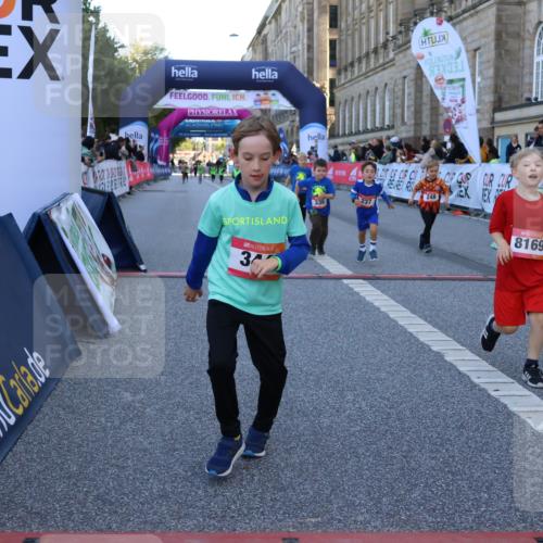06.09.2026 - CURREX Alsterlauf Strokosch-Dieckow http://msf.ph/oto/10142136 06.09.2026 10:55:41 Ziel 220, 237, 248, 295, 305, 335, 342, 344, 410, 8169 meine-sportfotos.de