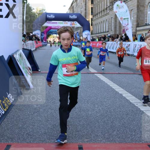 06.09.2026 - CURREX Alsterlauf Strokosch-Dieckow http://msf.ph/oto/10142147 06.09.2026 10:55:42 Ziel 237, 248, 295, 305, 335, 342, 344, 410, 8169 meine-sportfotos.de