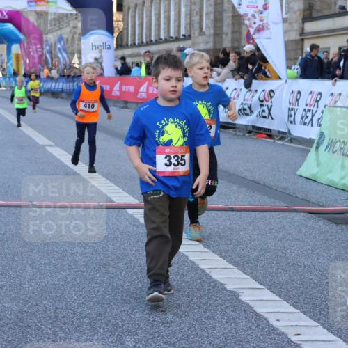 06.09.2026 - CURREX Alsterlauf Strokosch-Dieckow http://msf.ph/oto/10142167 06.09.2026 10:55:44 Ziel 237, 248, 295, 305, 335, 342, 344, 410, 8169 meine-sportfotos.de
