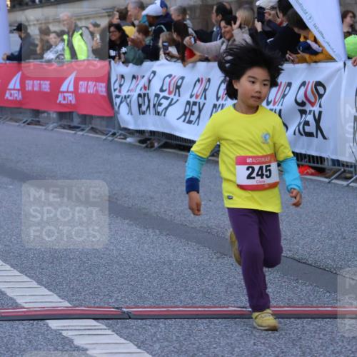 06.09.2026 - CURREX Alsterlauf Strokosch-Dieckow http://msf.ph/oto/10142247 06.09.2026 10:55:54 Ziel 245, 331, 366, 373, 395, 403 meine-sportfotos.de