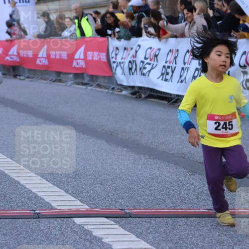 06.09.2026 - CURREX Alsterlauf Strokosch-Dieckow http://msf.ph/oto/10142254 06.09.2026 10:55:54 Ziel 245, 331, 366, 373, 395, 403 meine-sportfotos.de