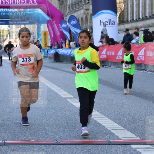 06.09.2026 - CURREX Alsterlauf Strokosch-Dieckow http://msf.ph/oto/10142284 06.09.2026 10:55:59 Ziel 245, 331, 373, 375, 395, 403 meine-sportfotos.de