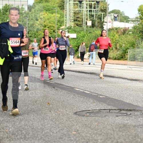 06.09.2026 - CURREX Alsterlauf Dr. Thomas Lammeyer http://msf.ph/oto/10142289 06.09.2026 10:11:46 Laufen 4733, 5945, 4370, 5564, 5825, 2098, 7, 4019 meine-sportfotos.de