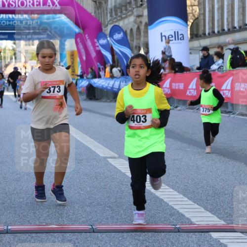 06.09.2026 - CURREX Alsterlauf Strokosch-Dieckow http://msf.ph/oto/10142294 06.09.2026 10:55:59 Ziel 245, 331, 373, 375, 395, 403 meine-sportfotos.de