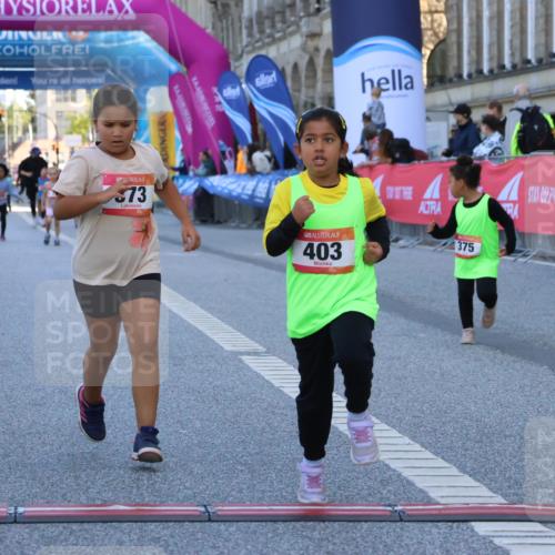 06.09.2026 - CURREX Alsterlauf Strokosch-Dieckow http://msf.ph/oto/10142298 06.09.2026 10:55:59 Ziel 245, 331, 373, 375, 395, 403 meine-sportfotos.de