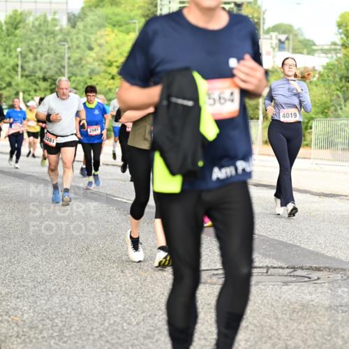 06.09.2026 - CURREX Alsterlauf Dr. Thomas Lammeyer http://msf.ph/oto/10142311 06.09.2026 10:11:49 Laufen 3281, 2881, 564, 4019, 2737 meine-sportfotos.de