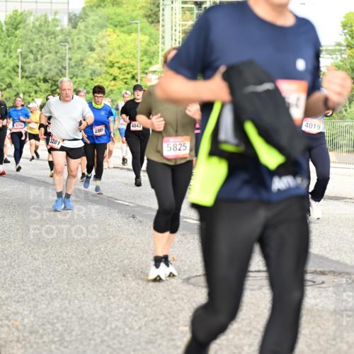 06.09.2026 - CURREX Alsterlauf Dr. Thomas Lammeyer http://msf.ph/oto/10142316 06.09.2026 10:11:49 Laufen 539, 4733, 5945, 4370, 3281, 2881, 4043, 5825, 4019, 2737 meine-sportfotos.de