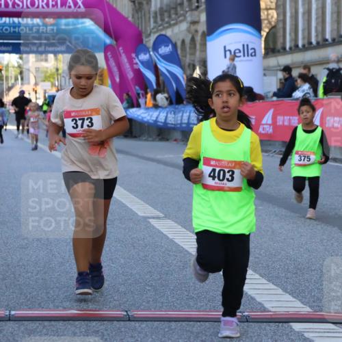 06.09.2026 - CURREX Alsterlauf Strokosch-Dieckow http://msf.ph/oto/10142319 06.09.2026 10:55:59 Ziel 245, 331, 373, 375, 395, 403 meine-sportfotos.de