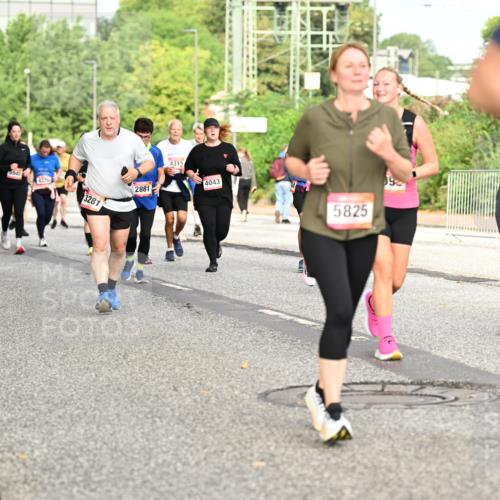06.09.2026 - CURREX Alsterlauf Dr. Thomas Lammeyer http://msf.ph/oto/10142321 06.09.2026 10:11:50 Laufen 4733, 5945, 4370, 3281, 2881, 4315, 4043, 5825, 9, 4019 meine-sportfotos.de