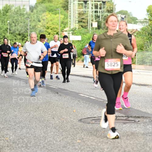06.09.2026 - CURREX Alsterlauf Dr. Thomas Lammeyer http://msf.ph/oto/10142322 06.09.2026 10:11:50 Laufen 4733, 3539, 5945, 4370, 3281, 4315, 4043, 5825, 4019 meine-sportfotos.de