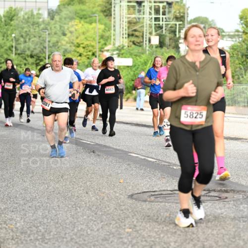 06.09.2026 - CURREX Alsterlauf Dr. Thomas Lammeyer http://msf.ph/oto/10142323 06.09.2026 10:11:50 Laufen 5945, 9539, 4733, 3281, 18, 4043, 5825, 4019 meine-sportfotos.de