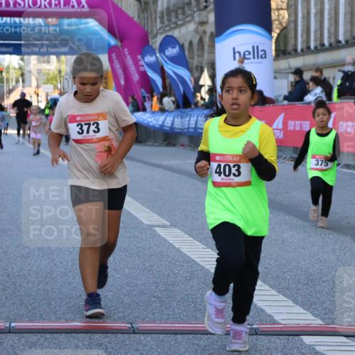 06.09.2026 - CURREX Alsterlauf Strokosch-Dieckow http://msf.ph/oto/10142324 06.09.2026 10:55:59 Ziel 245, 331, 373, 375, 395, 403 meine-sportfotos.de