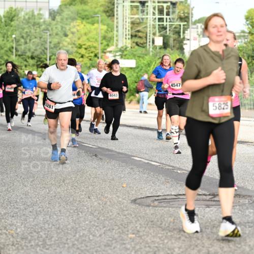 06.09.2026 - CURREX Alsterlauf Dr. Thomas Lammeyer http://msf.ph/oto/10142325 06.09.2026 10:11:50 Laufen 4733, 5945, 4370, 3281, 181, 43, 4043, 4547, 5825, 4019 meine-sportfotos.de
