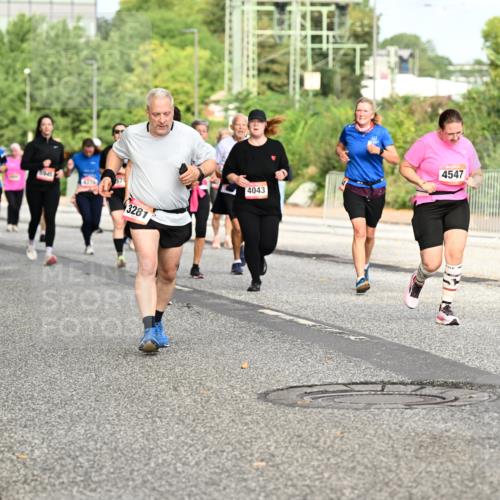 06.09.2026 - CURREX Alsterlauf Dr. Thomas Lammeyer http://msf.ph/oto/10142335 06.09.2026 10:11:51 Laufen 4733, 5945, 3281, 4547, 4043, 2098 meine-sportfotos.de