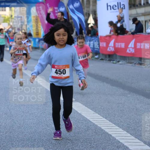 06.09.2026 - CURREX Alsterlauf Strokosch-Dieckow http://msf.ph/oto/10142362 06.09.2026 10:56:14 Ziel 152, 271, 450, 8168 meine-sportfotos.de