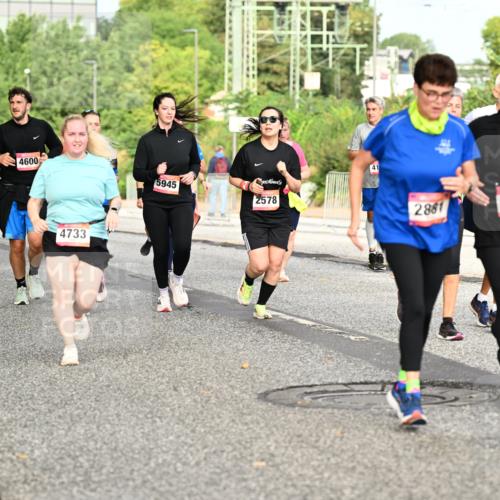 06.09.2026 - CURREX Alsterlauf Dr. Thomas Lammeyer http://msf.ph/oto/10142370 06.09.2026 10:11:55 Laufen 542, 201, 4600, 4733, 5945, 2578, 41, 2881, 4043 meine-sportfotos.de