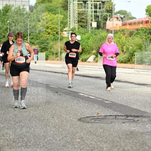 06.09.2026 - CURREX Alsterlauf Dr. Thomas Lammeyer http://msf.ph/oto/10142453 06.09.2026 10:12:04 Laufen 2851, 6022, 6060, 6097 meine-sportfotos.de