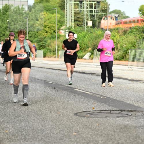 06.09.2026 - CURREX Alsterlauf Dr. Thomas Lammeyer http://msf.ph/oto/10142454 06.09.2026 10:12:04 Laufen 5849, 2851, 60, 8909, 6097 meine-sportfotos.de