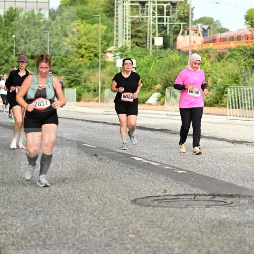 06.09.2026 - CURREX Alsterlauf Dr. Thomas Lammeyer http://msf.ph/oto/10142456 06.09.2026 10:12:04 Laufen 5849, 13, 6022, 2851, 6068, 6097 meine-sportfotos.de
