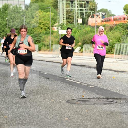 06.09.2026 - CURREX Alsterlauf Dr. Thomas Lammeyer http://msf.ph/oto/10142458 06.09.2026 10:12:04 Laufen 5849, 2851, 6022, 6068 meine-sportfotos.de