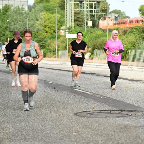 06.09.2026 - CURREX Alsterlauf Dr. Thomas Lammeyer http://msf.ph/oto/10142459 06.09.2026 10:12:04 Laufen 5849, 1400, 2851, 6022, 6068 meine-sportfotos.de